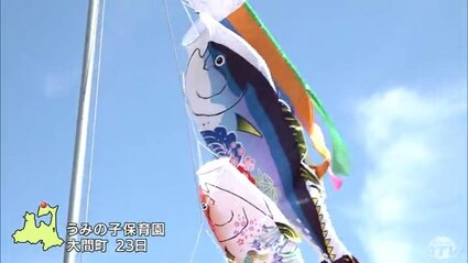 やねよりたかい「マグロのぼり」 “マグロの町”青森県大間で子どもたち