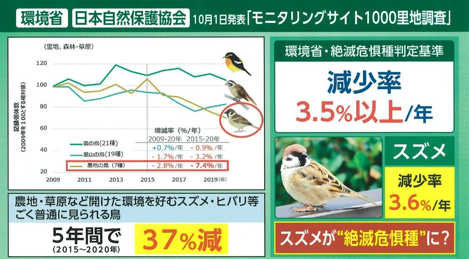 雀 絶滅 危惧 種
