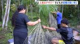 人気のフルーツ「アサイー」世界的ブーム　収穫現場ブラジルでの光と影　子供が収穫の担い手に「児童労働」と問題視も…|TBS NEWS DIG