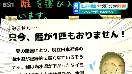 鮭が一匹もおりません！」4年前の稚魚に異変か？それとも猛暑の影響か