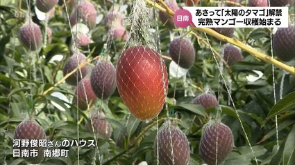img_a42643b4e4d3194c2b2d436aec