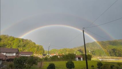 かごの中の太陽　ダブルレインボウ　1枚 img_a45335de6e850f23141865c96d