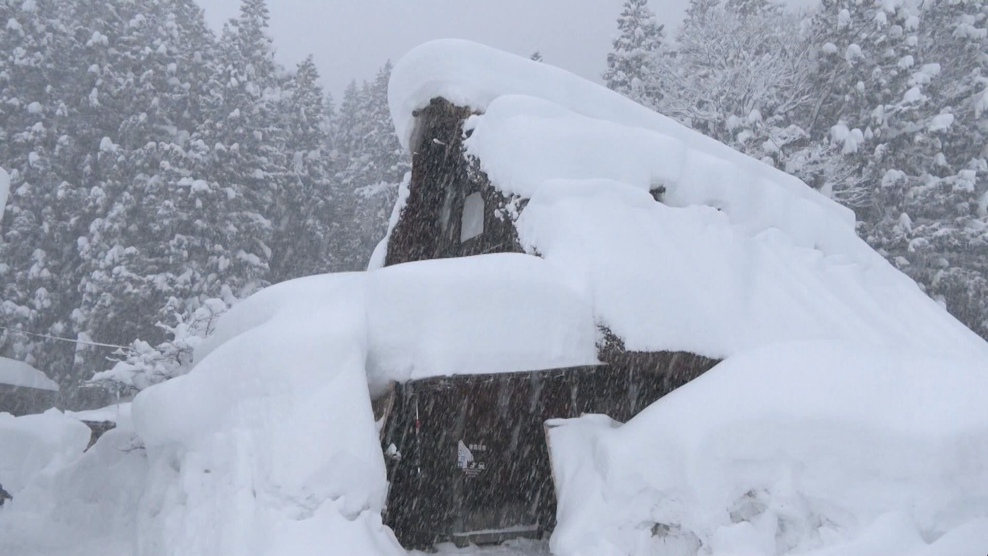 平年の2倍超 積雪2メートル59センチ「何年に１回の雪」白川郷の民宿はキャンセルも 岐阜・白川村