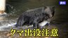 「浦の浜の茂みにクマがいる」海水浴場に成獣のクマ1頭出没　緊急銃猟により2発目で駆除　岩手・山田町　|　IBC NEWS | IBC岩手放送