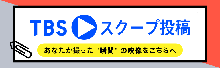多様な感じでおいしい 五つ星ホテルで腕をふるったシェフが伝えるスリランカ本格料理 静岡 駿河区 愛情ごはん Tbs News Dig 1ページ