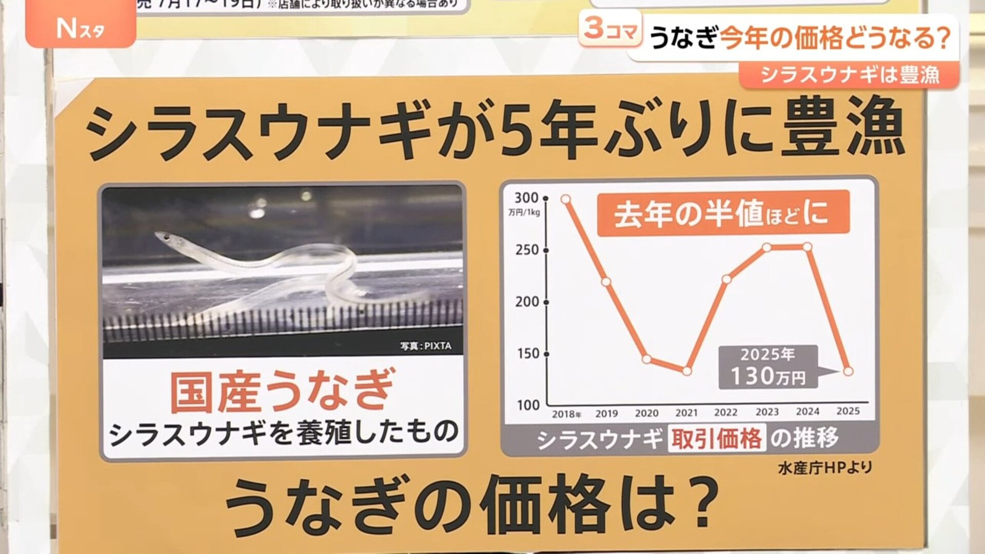 大きい・うまい・皮も柔らかい おいしさの秘訣は「メス」にあり？ うなぎ「今年は豊漁」価格はどうなる？【Nスタ解説】 | TBS NEWS DIG  フォトギャラリー