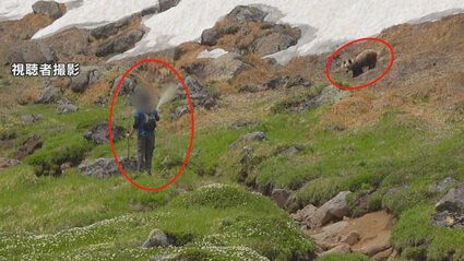 危険な行為】ヒグマに自ら近づきスプレー噴射、至近距離で写真撮影も