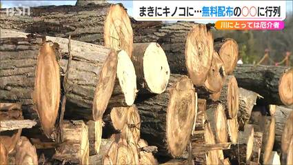 川の“厄介者”⇒無料配布で大人気!? 河川敷の『伐採木』を河川事務所が