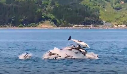 img_a98675b343c44bf8bb393732ef