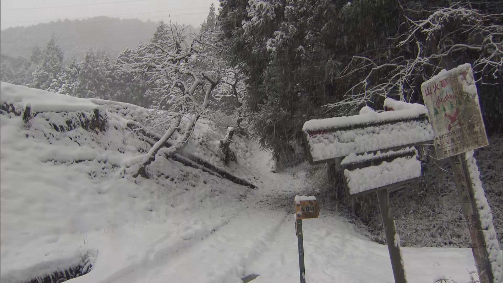 現場からは犯行に使われたとみられるロープや車見つかる 58歳妻の首を絞めて殺害したか 大阪・箕面市の男逮捕 岐阜・関ケ原町の山中で