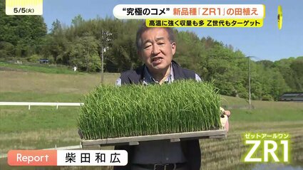 高温に強く収量も多い 関係者は“究極のコメ”に期待 新品種「ZR1」の