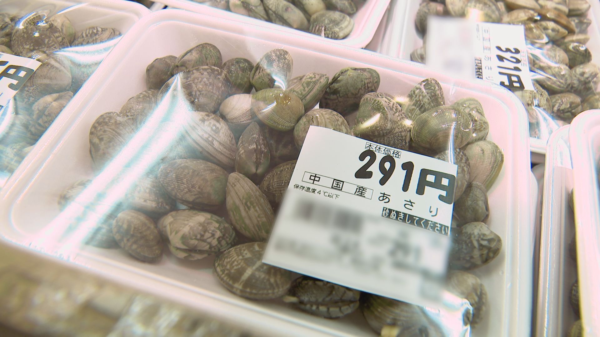 “食の信頼”に激震 CBCの取材で発覚したアサリの産地偽装問題から1年…アサリを取り巻く現状を徹底取材【報道のチカラ】 | TBS NEWS DIG