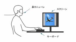 呼吸のタイミングが「記憶」に関係している!? 暗記のコツは…覚える時に「吐く」 答える時も「吐く」 「声を出しながら英単語を覚える行為は、理に適っている」|TBS NEWS DIG