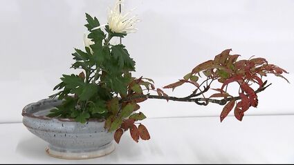 | 山村御流 | 日々のこと 山村御流　花器　小判　美品　お正月　生け花 悠和会 生け花 | 花瓶・フラワースタンド