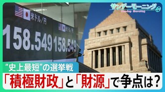 なぜ今?“史上最短”の選挙戦 真冬のポスター掲示に“限界”「食料品消費税ゼロ」自民も…本気度は?財源は?“物価高と円安”どう向き合う【サンデーモーニング】|TBS NEWS DIG