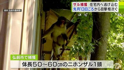 img_b4777474f11ec488784d08f05b