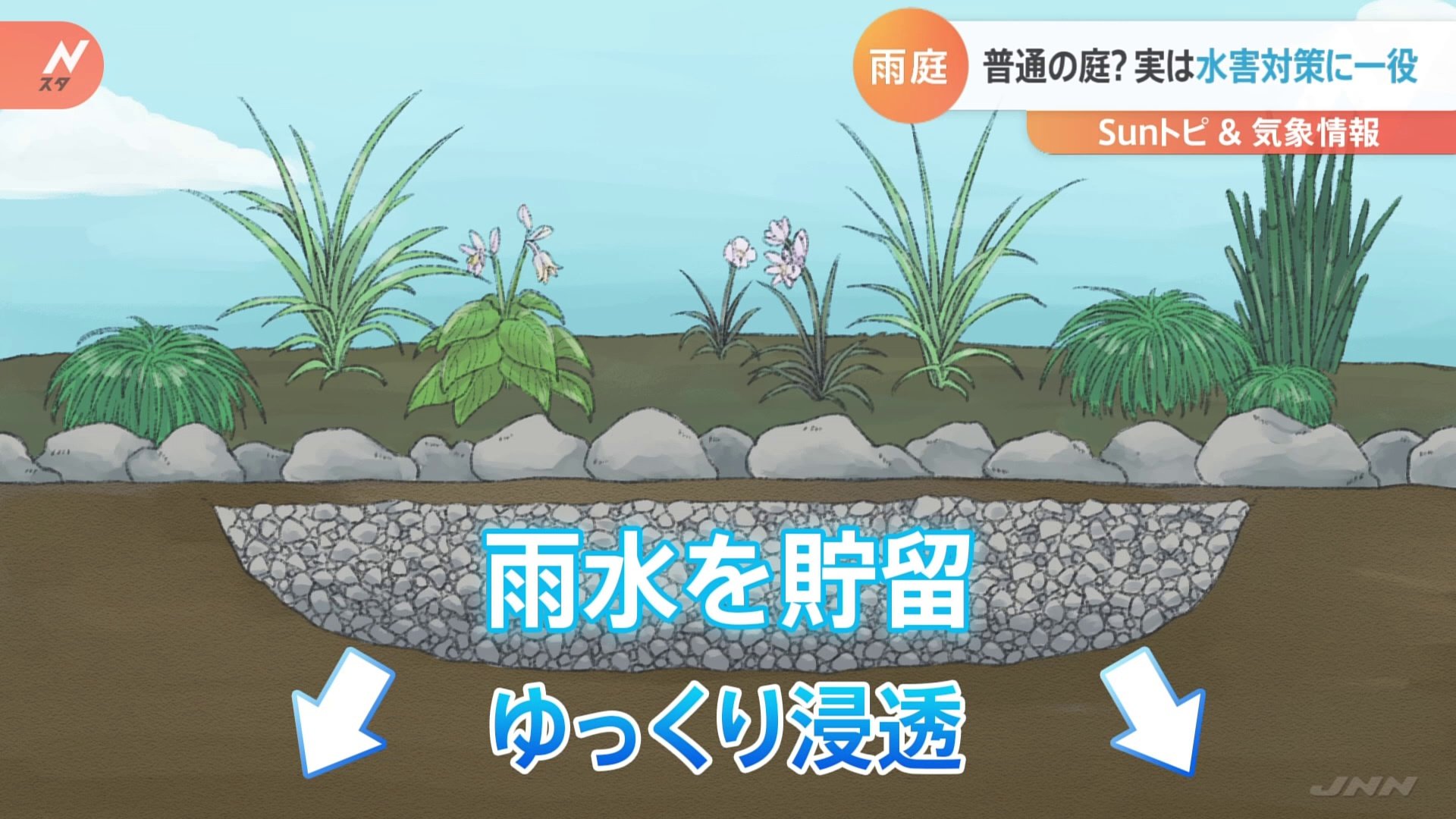自宅でも簡単!水害対策に"雨庭"【SUNトピ】 | TBS NEWS DIG