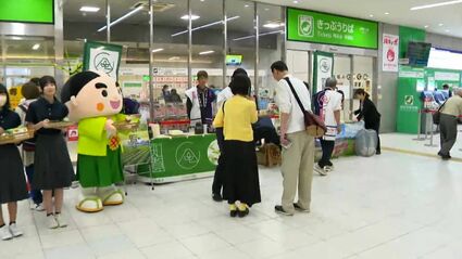 フレッシュでまろやか」日本一新茶の季節到来 鹿児島中央駅で知覧茶を