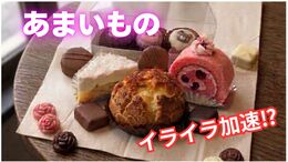 “疲れたら甘いもの”がイライラを加速？ 医師が指摘する「脳の落とし穴」と、メンタルを壊さない“おやつの心得”|TBS NEWS DIG