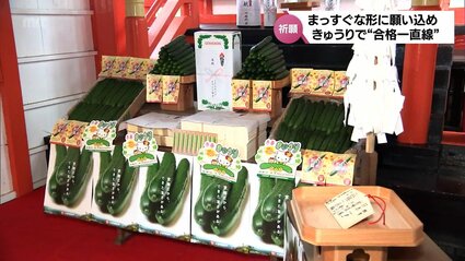 合格一直線