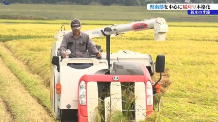 岩手県南部で稲刈り作業が本格化 岩手・一関市 | IBC NEWS | IBC岩手