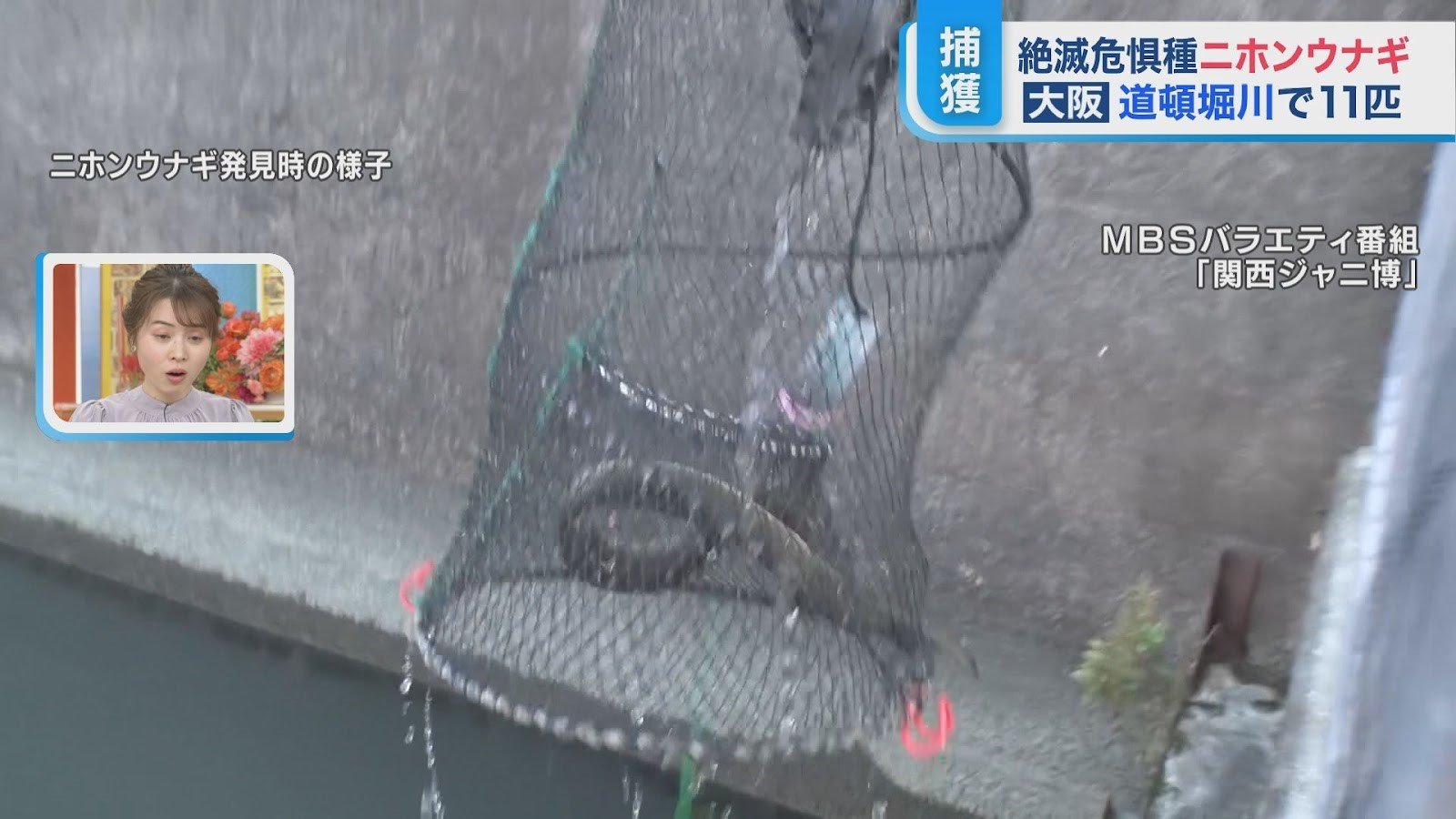 道頓堀 川 遺体