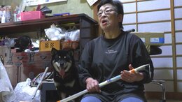 「わぁー!なめんなよーっ!」　80歳女性が“大声”で撃退　愛犬を追いかけ、網戸破り侵入してきた体長1m超のクマもタジタジ　驚いて逃げる　岩手・釜石市|TBS NEWS DIG