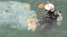 海上に浮流油　着岸中の巡視船乗組員が発見...潜水調査で海底から「油にまみれたタオル」が　漁業被害は確認されず（岡山・玉野市）|TBS NEWS DIG