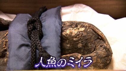 img_bd9b40324db13a8f74cdd469dc