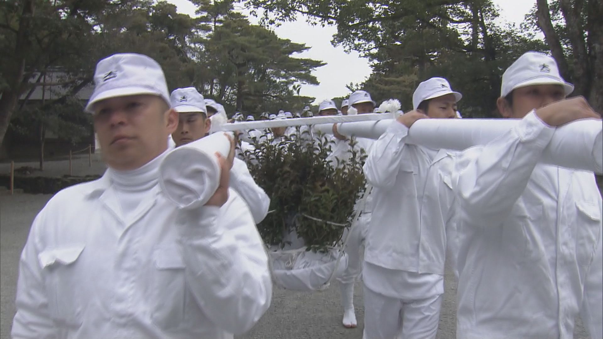 さらなる発展を願い…全国の造園業者が伊勢神宮に「寒椿」奉納　高さ50センチの苗木をかごに乗せ宇治橋渡る