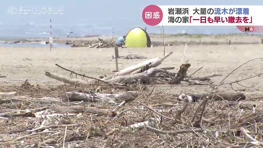 人の手ではどうにもできない」海開きの海水浴場に大量の流木が…地元