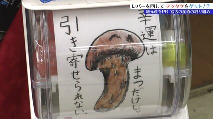 岩手県産松茸　　ポチャ 運が良ければ500円で9000円相当のマツタケGET！その名も「松茸ガチャ
