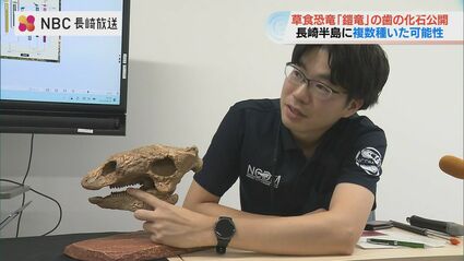 長崎】約8000万年前の“鎧竜”の歯の化石を新発見 世界的にも珍しい複数