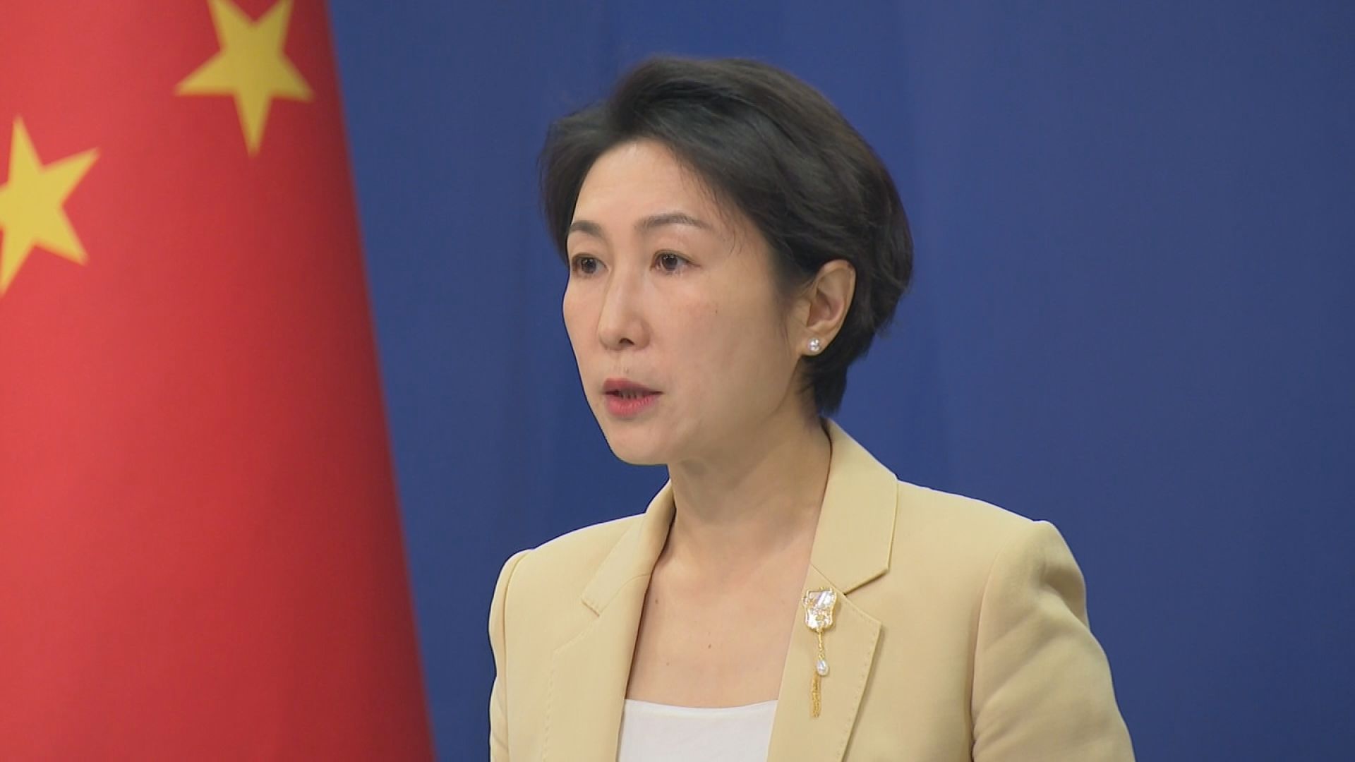 中国政府 安保理決議受け「戦闘停止直ちに実現を」 ガザ情勢めぐり主張 TBS NEWS DIG