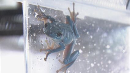 img_c80348e41e35e38c0cff20bb6d