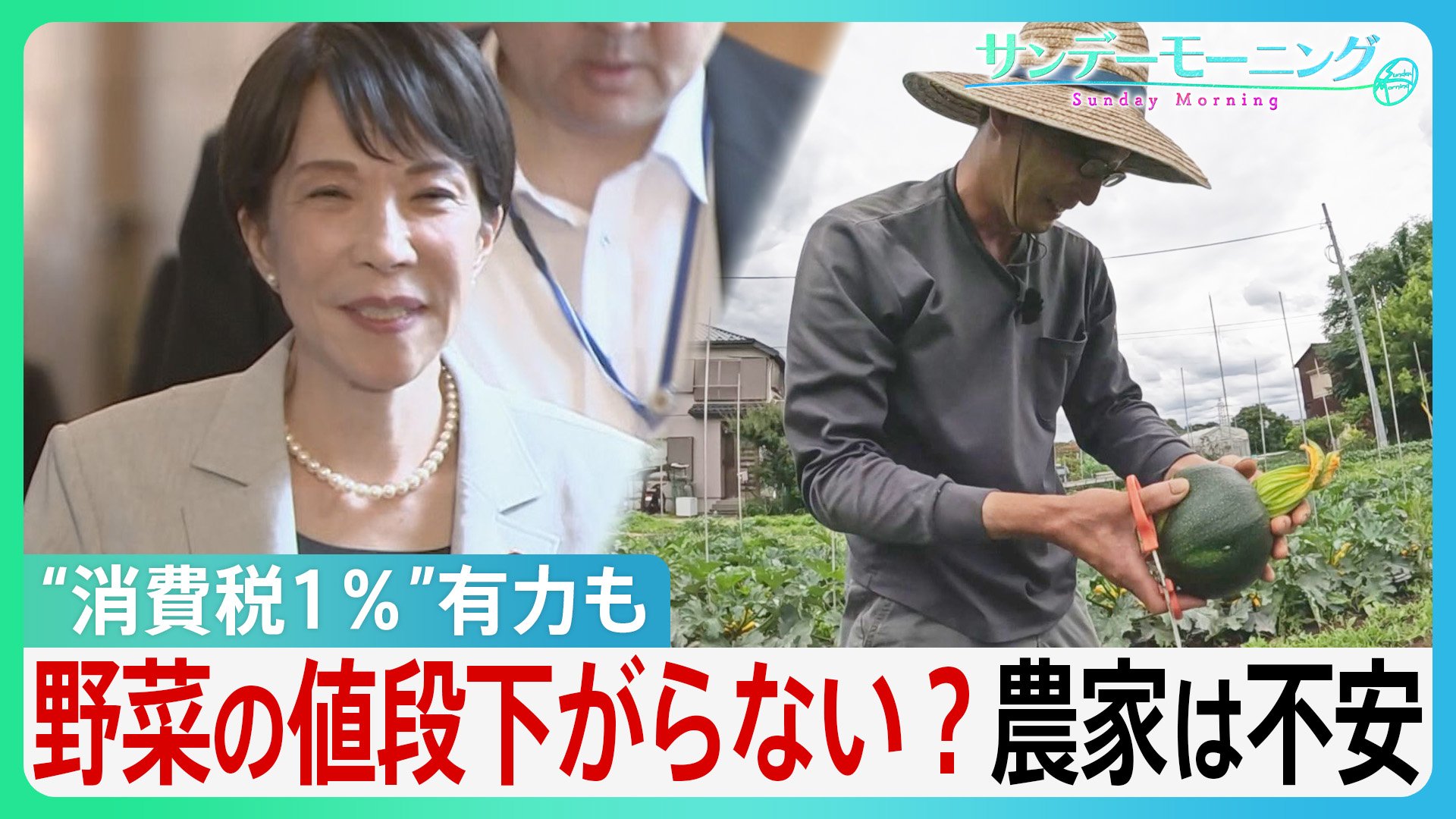 消費税“1%”有力も野菜の値段は下がらない？農家「高くなる可能性