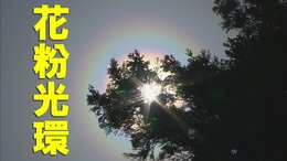 東北730％ 北海道420％ 花粉が去年より大量? 飛散ピークに現れる“おぞましい虹”の正体|TBS NEWS DIG