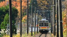 落ち葉で電車が登れない？“空転”で急勾配登れず最大20分の遅れ　紅葉シーズンの難敵「黒い被膜」 富山地方鉄道立山線で珍事|TBS NEWS DIG