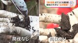 「森の放置」が川の魚に悪影響 30年でアユ激減　手入れされない木が招く“土の乾燥”…大量の土砂が川に|TBS NEWS DIG