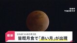 ひな祭りの夜に“皆既月食”…各地の夜空に「赤黒い月」 次回の観賞チャンスは2029年の1月1日【news23】|TBS NEWS DIG
