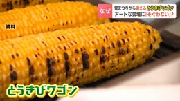 【波紋】さっぽろ雪まつりで20年近く続く名物「とうきびワゴン」が異例の出店中止に 一緒に提供予定のメニューがNG「アートにそぐわない」|TBS NEWS DIG