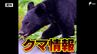 【クマ情報】函南町の県道にツキノワグマか 隣の熱海市ではツキノワグマ1頭が捕獲されたばかり=静岡|TBS NEWS DIG