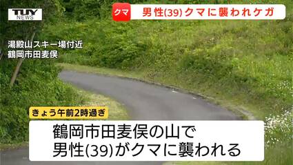動画】未明から山菜採りに山中で39歳の男性がクマに襲われる クマ