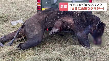 共存なんてできるわけない」牛66頭を襲った“OSO18”追い続けたハンター