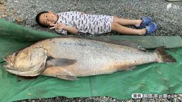 海岸に現れた1.5メートルの"幻の魚" 暗闇のなか「オオニベ」と3時間の格闘...釣り人が振り返った奇跡のキャッチ=静岡|TBS NEWS DIG