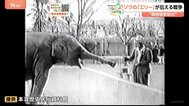 新「映像」発見　80年の時を経てゾウの「エリー」が伝える戦争 “戦時猛獣処分” 絵本「ごめんねメリー」原画も展示　熊本【戦後80年つなぐ、つながる】|TBS NEWS DIG
