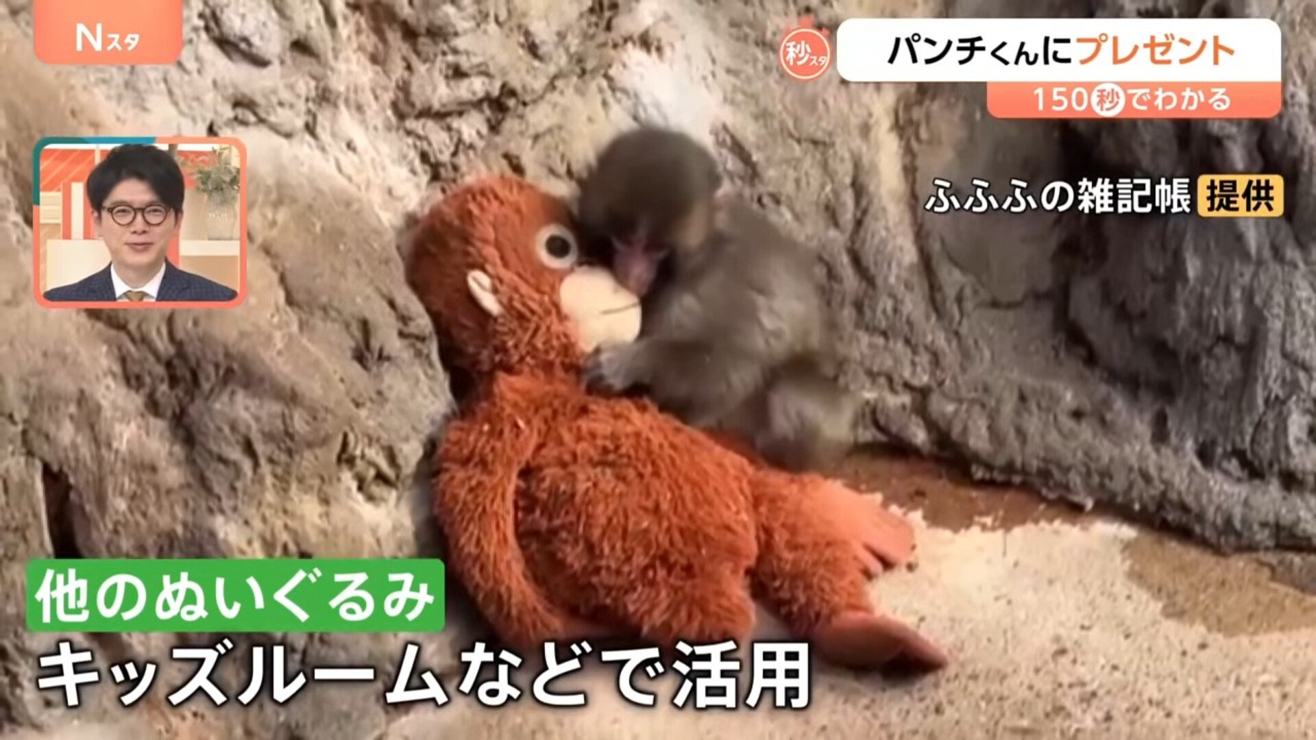 img_dd762055f061baa9c19bea783d