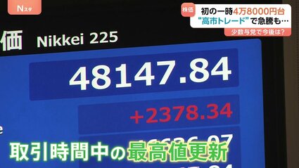 【残り3株】１年を3千円で時短【目玉商品】相場3.５万円以上の即戦力のユッカロストラータ hq720.jpg?sqp=-