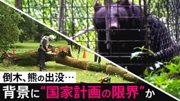 相次ぐ倒木、熊の出没被害…背景に130年前の“国家計画の限界” 東大教授が提言する縦割り行政の闇と「自分さえ良ければ」からの脱却|TBS NEWS DIG