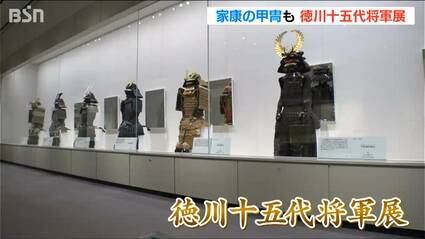 【超希少・徳川十五代セット】徳川十五代 政治と文化 徳川黎明会 帙入り 解説書 国宝や重要文化財など徳川家の名品が一堂に！ 「徳川十五代将軍展」 8